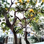 アパート Willkommen In Einem Private Garden *