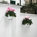 Willkommen In Einem Private Garden バーリ