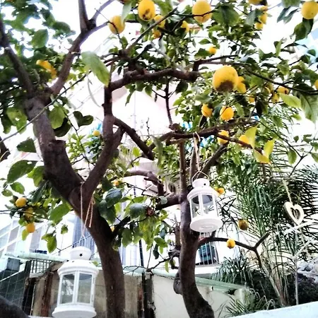 Apartament Willkommen In Einem Private Garden *