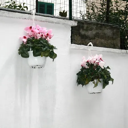 Willkommen In Einem Private Garden Bari