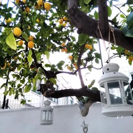 Διαμέρισμα Willkommen In Einem Private Garden *