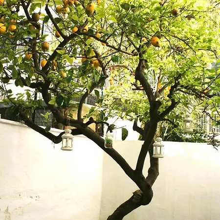 Willkommen In Einem Private Garden Μπάρι