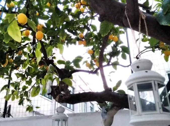 Appartement Willkommen In Einem Private Garden *