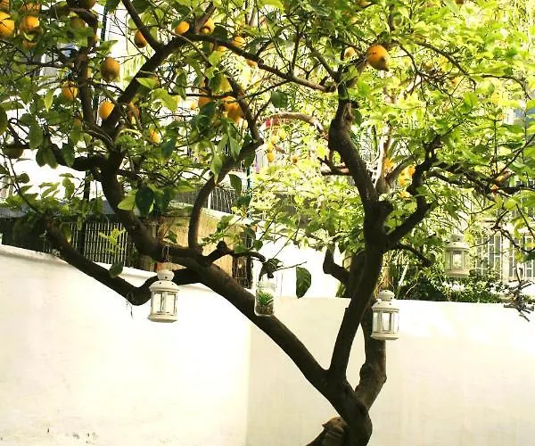 Willkommen In Einem Private Garden Bari